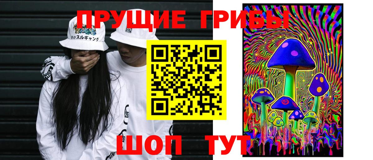 Галлюциногенные грибы Psilocybe  Галлюциногенные грибы прущие грибы  Губаха  Вход с VPN 